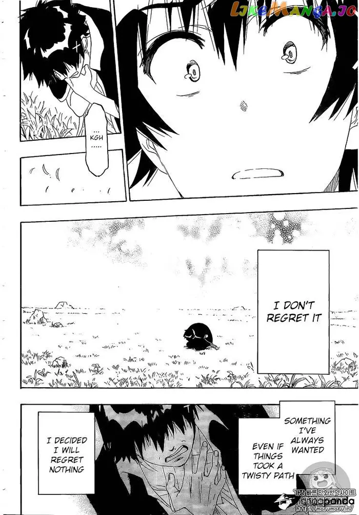 Nisekoi Chapter 226 image 17_optimized